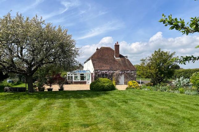 Colnor House, Chichester photo 4