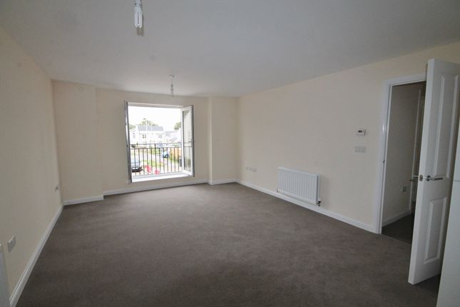 172, Bristol photo 3