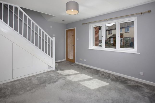 17 The Paddock, Dawlish photo 3