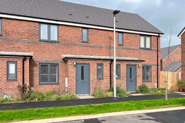Channings Drive Tithebarn Exeter Ex1 3 Bedroom Terraced House To Rent Primelocation