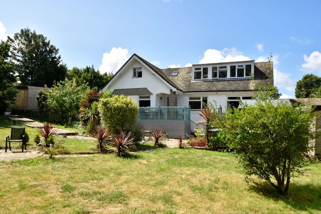 Thumbnail Detached house to rent in West Hill Road, Ryde