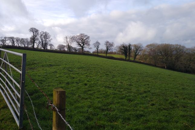 Land for sale in Northlew, Okehampton