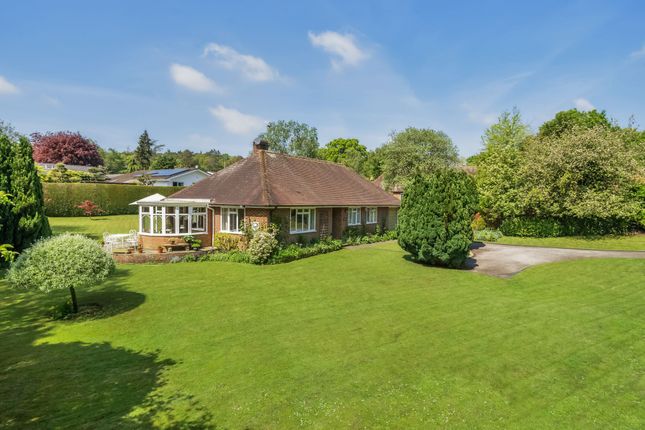 Detached bungalow for sale in Old London Road, Coldwaltham
