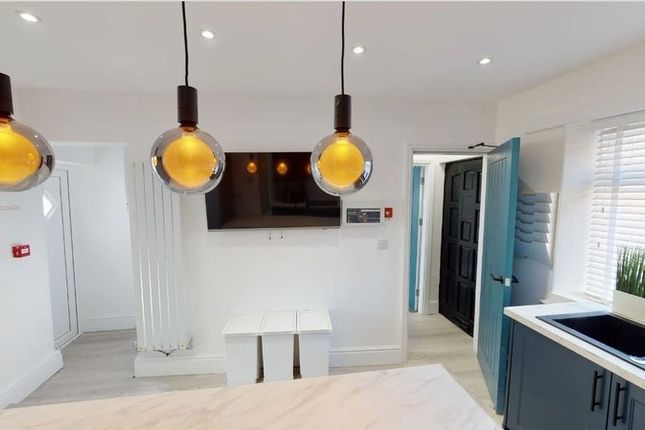 Bright And Modern Kitchen Featuring Large Windows ...
