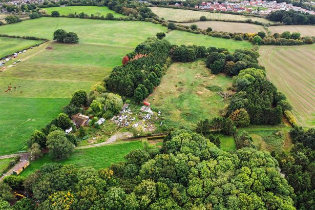 Potters Plantation, Trowell Moor, Nottingham photo 4