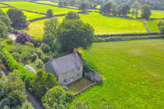 Maelgwyn, Llandysul photo 3