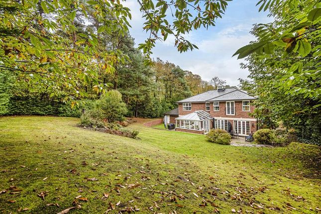 Thumbnail Detached house to rent in Westwood Road, Windlesham
