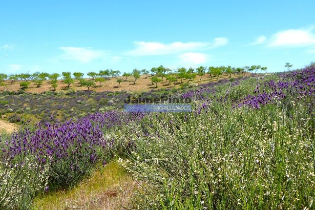 Thumbnail Land for sale in 7, 8Ha For Construction Of Country House And Plantations, Portugal