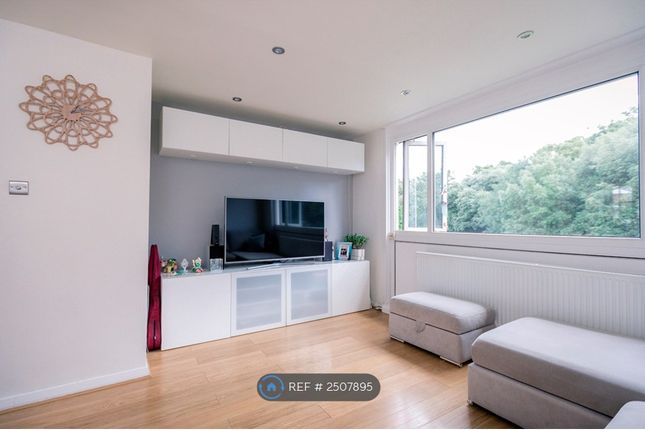 Lounge - Feature Wall