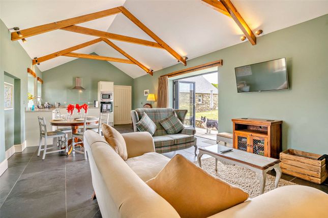 Ty Hir Cottage