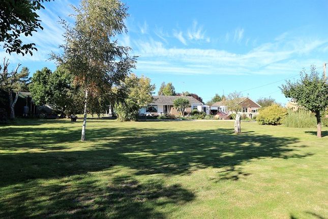 3-bed bungalow on Millfield The Street,, Ramsey, Essex, £500,000