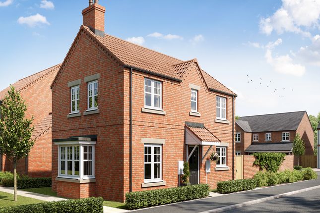 Thumbnail Detached house for sale in "The Naburn" at Ferriby Road, Hessle