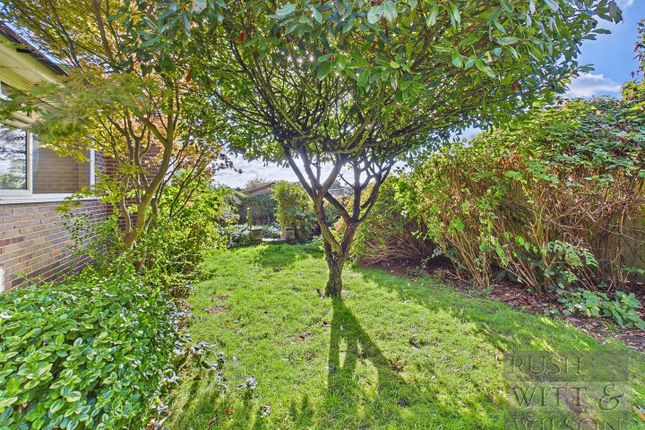 Clinch Green Avenue, Bexhill-On-Sea photo 2
