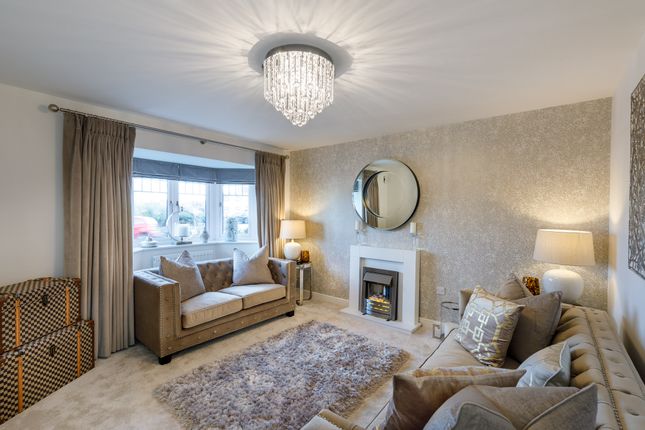 Lingfield, Lingfield, Hollybrook park, Highmere Drive, Connahs Quay photo 3