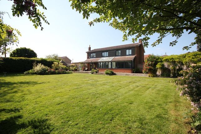 Detached house for sale in The Row, Sutton, Ely