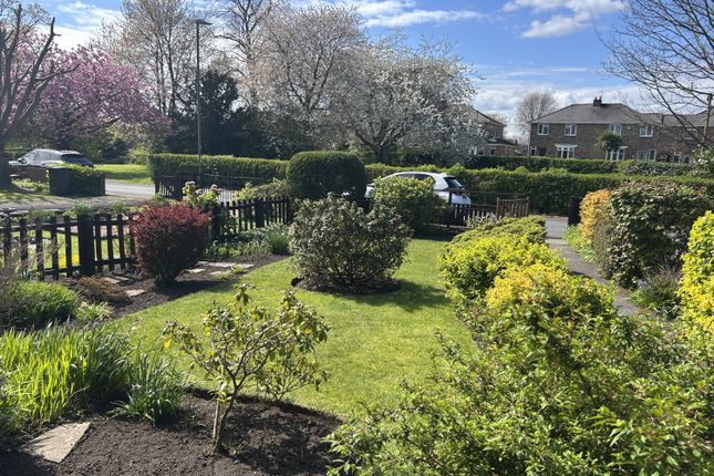 25, The Moorlands, Durham photo 2