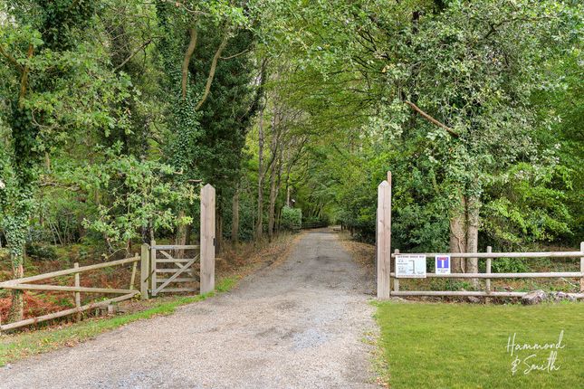 42 Garnon Mead, Epping photo 4