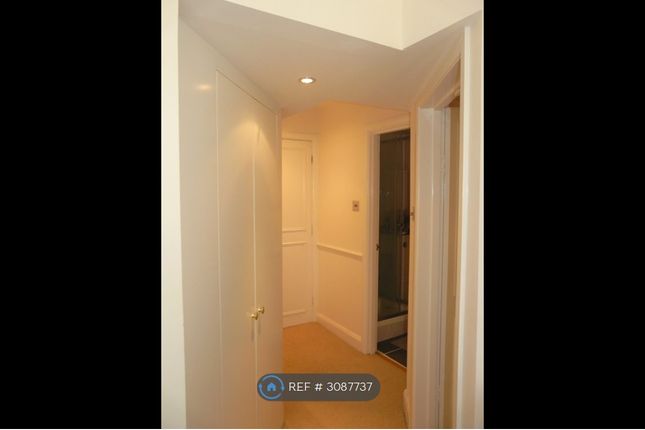Sinclair Road, London photo 5
