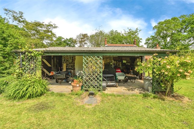 Garden Store