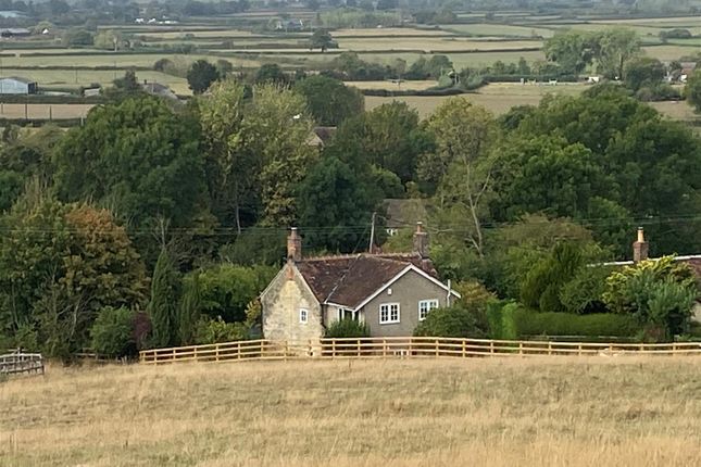 Gillyflower, Juans Lane, Kington Magna photo 3