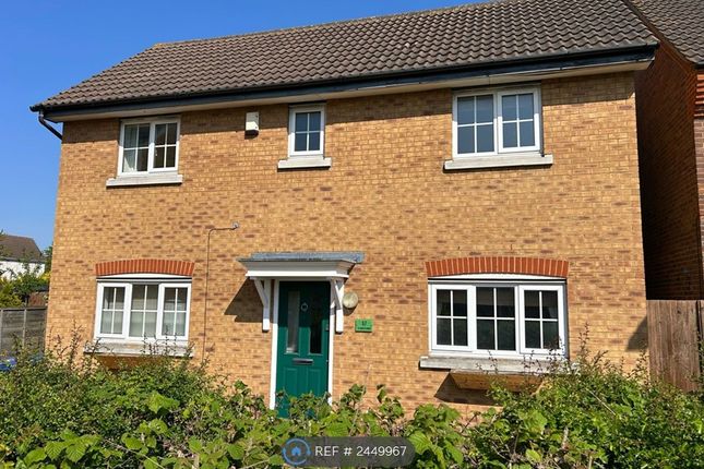 Thumbnail Detached house to rent in Plymouth Road, Chafford Hundred, Grays