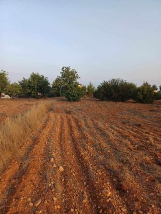 Land for sale in Koili, Pafos, Cyprus
