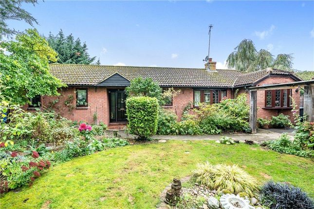 Thumbnail Detached bungalow for sale in Millmere, Yateley, Hampshire