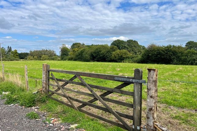 Land for sale in Kings Lane, Coldwaltham, Pulborough