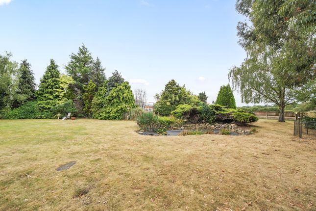 SOUTH VIEW STUD, New Mill Field Road, Doncaster photo 3