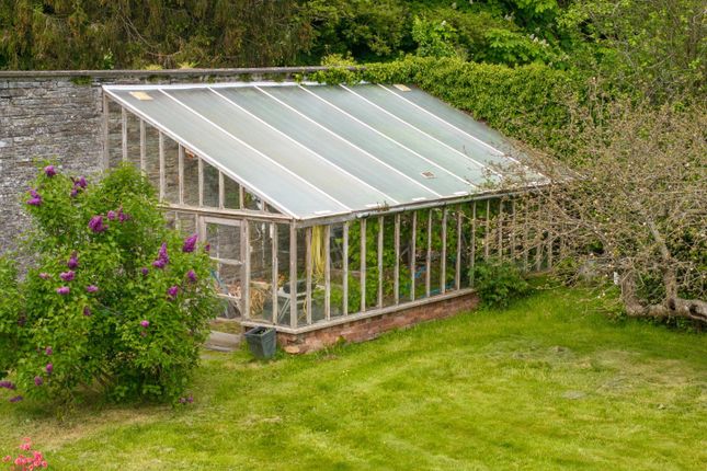 Greenhouse
