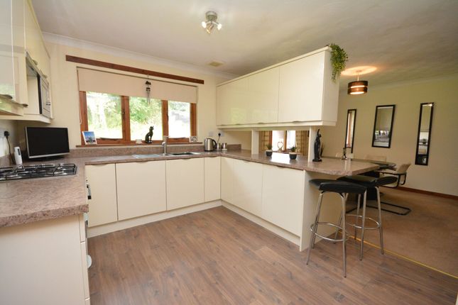24 The Grange, Falkirk photo 3