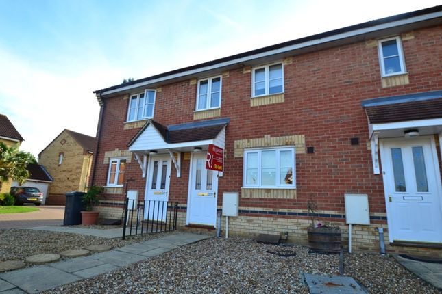 Thumbnail Terraced house to rent in Fieldfare Drive, Stanground, Peterborough