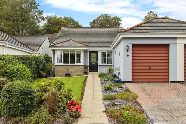 Thumbnail Bungalow for sale in Sand Hill Park, Gunnislake, Cornwall