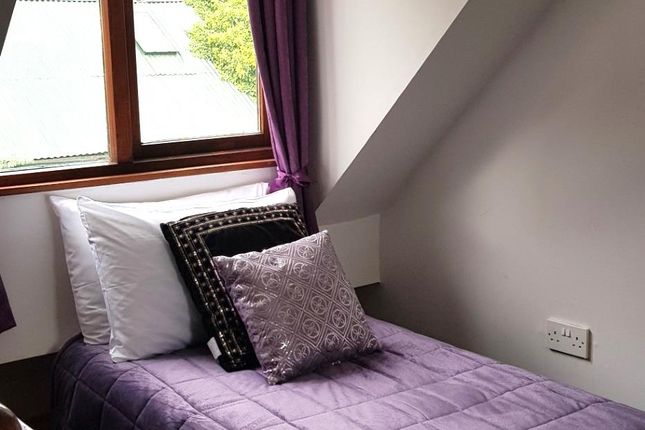 Additional Photograph