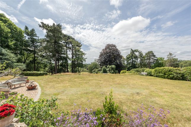 South Sandhills,, Sandy Lane, Surrey photo 2