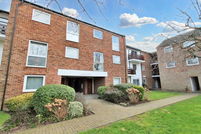 Flat to rent in Endymion Road, Hatfield