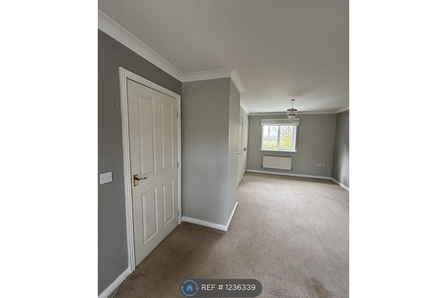 Detached house to rent in Harrow Way, Reading