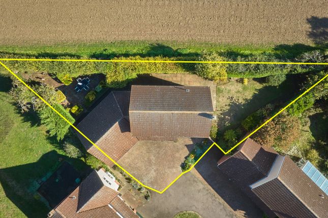 Hollybush Way, Cambridge photo 4