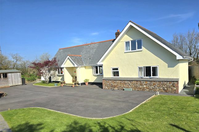 Thumbnail Detached house for sale in Holsworthy, Devon