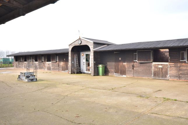 Equestrian property for sale in Raspberry Hill Lane, Iwade, Sittingbourne