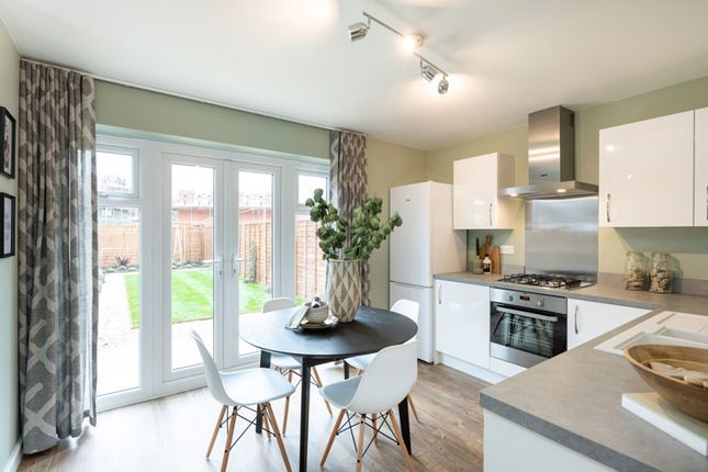 End terrace house for sale in "The Drake" at Scalford Road, Melton Mowbray