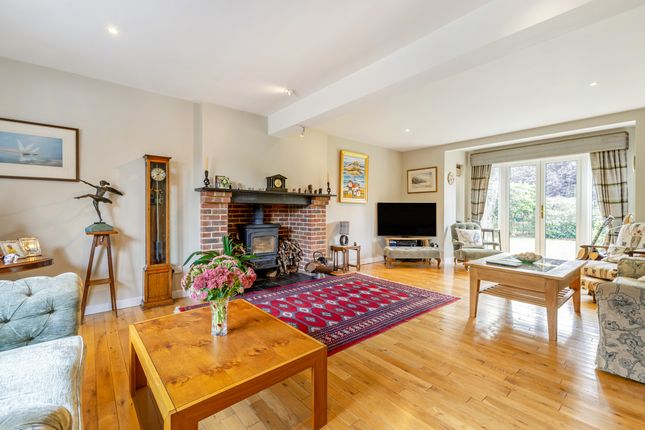 The Chestnut, Mayfield Lane, Wadhurst photo 4