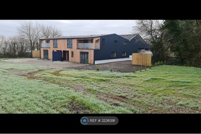 Thumbnail Semi-detached house to rent in Providence Barns, Launceston