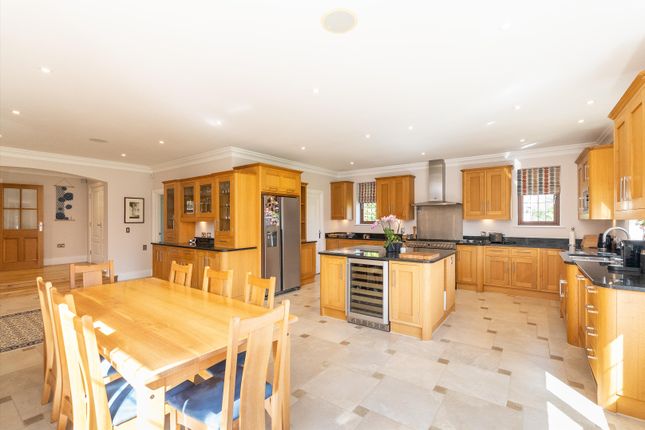 The Warren, Leatherhead photo 4