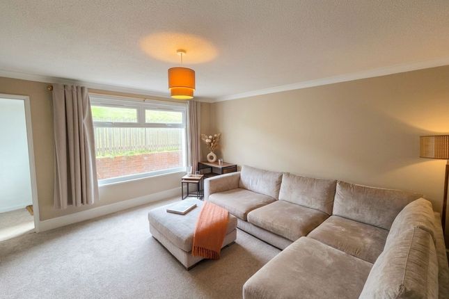 82 Coronation Avenue, Dawlish photo 3