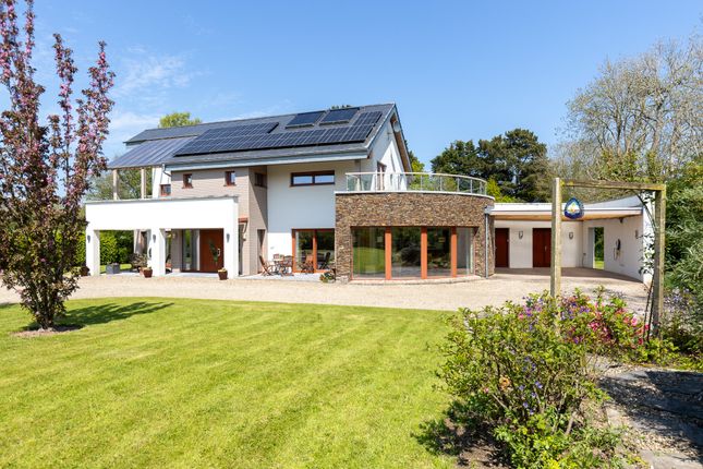 Thumbnail Detached house for sale in Ratholm, Killinick, Wexford County, Leinster, Ireland