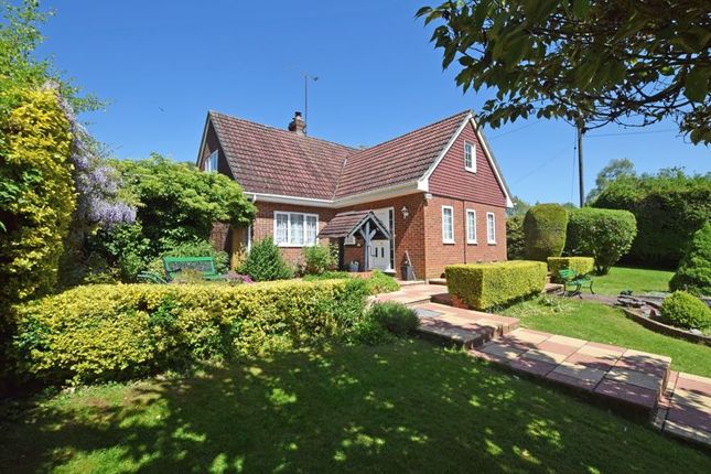 Detached house for sale in Willis Lane, Four Marks, Alton, Hampshire