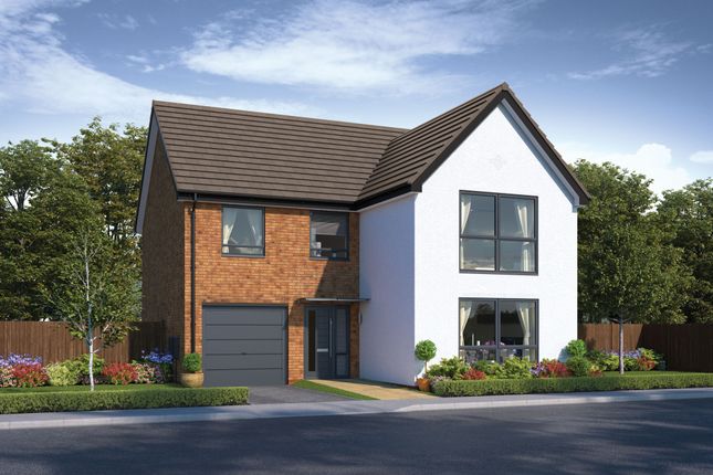 Detached house for sale in "The Forester" at Mulberry Rise, Hartlepool