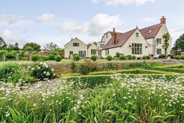 Thumbnail Property for sale in Bell Lane, Westbury-On-Severn, Gloucestershire