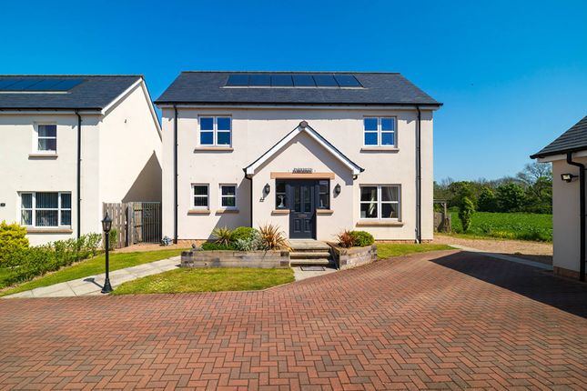 Thumbnail Detached house for sale in East Mains, Edzell, Brechin